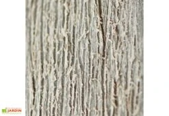 Armoire Haute Brossium En Résine (140 X 73,6 X 170) 9 Armoire Haute Brossium En Résine (140 X 73,6 X 170) -Promos Jardin Garage Magasin armoire jardin brossium chalet jardin effet bois vieilli 1