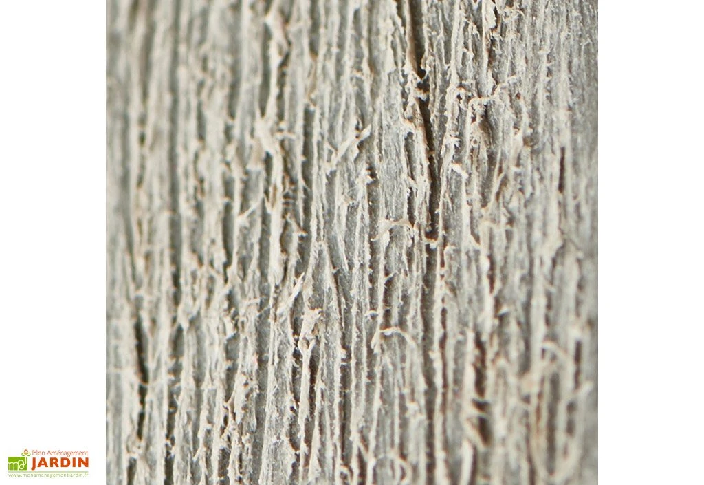 Armoire Haute Brossium En Résine (140 X 73,6 X 170) 4 Armoire Haute Brossium En Résine (140 X 73,6 X 170) – Image 4